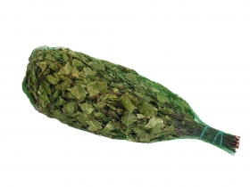 Saunová metlička, breza