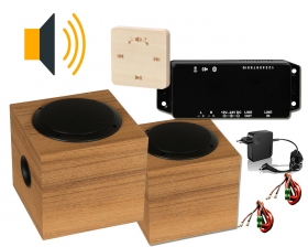 Set ozvučenie sauny Hi-Fi PRO, osika