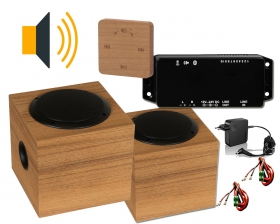 Set ozvučenia sauny Hi-Fi PRO, osika THERMOWOOD