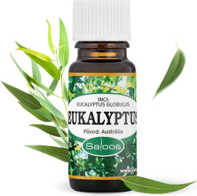 Esenciálny olej Eukalyptus 10ml